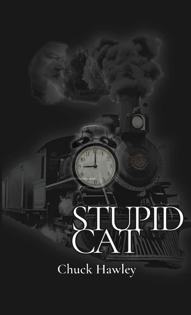 Stupid Cat