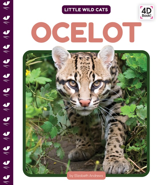 Ocelot