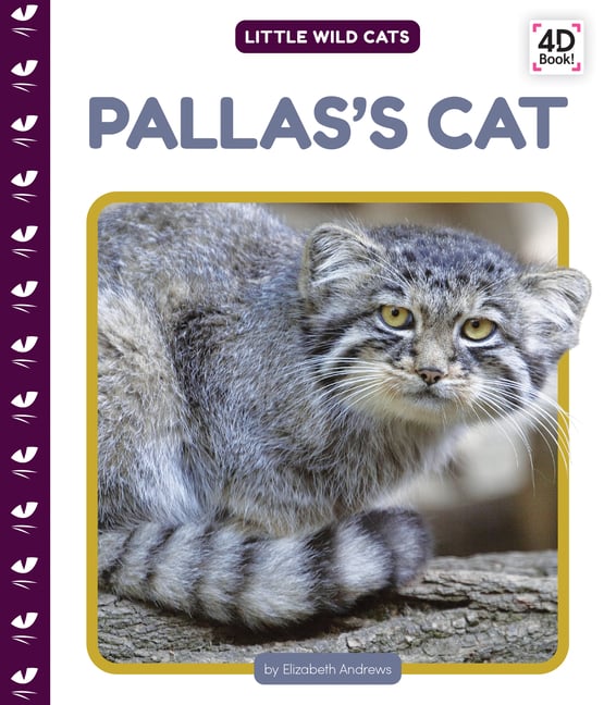 Pallas's Cat