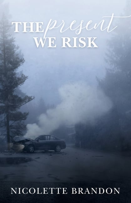 The Present We Risk: A Special Agent Riley Reynolds Mystery