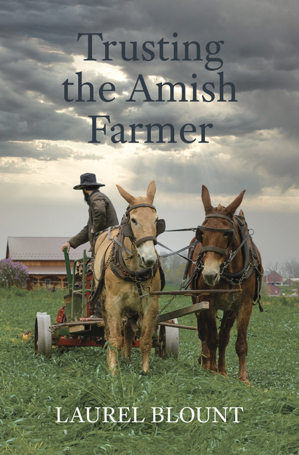 Trusting the Amish Farmer