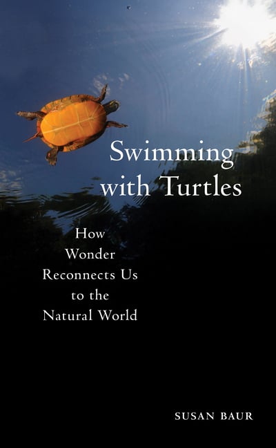 Swimming with Turtles: How Wonder Reconnects Us to the Natural World