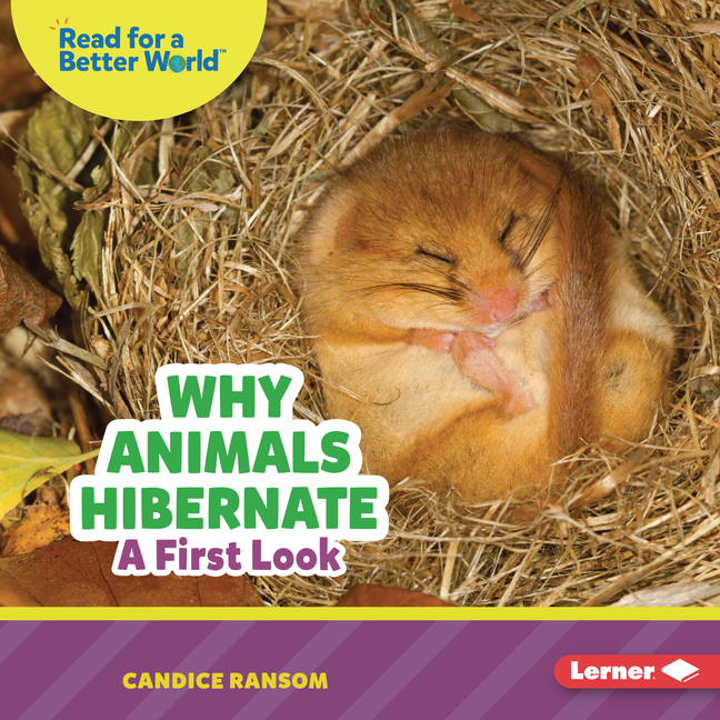 Why Animals Hibernate: A First Look