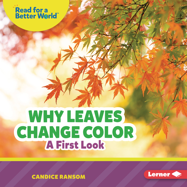 Why Leaves Change Color: A First Look