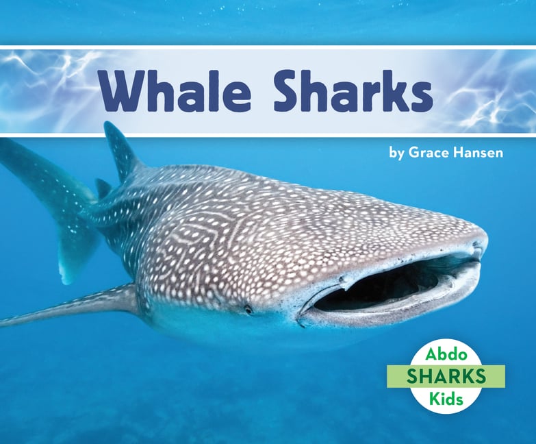 Whale Sharks