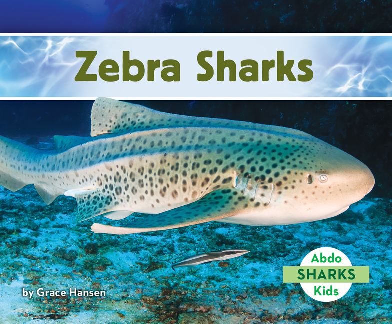 Zebra Sharks