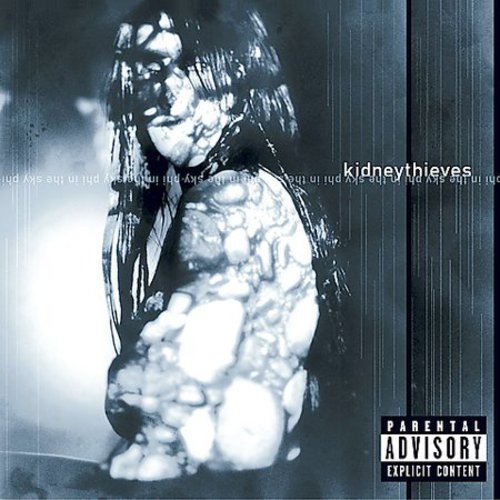 kidneythieves - Phi in the Sky (CD)