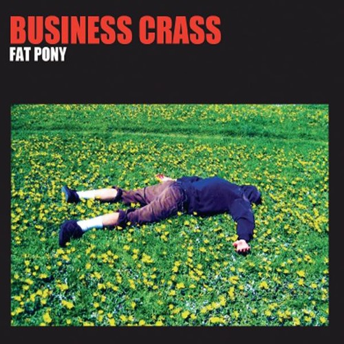Fat Pony