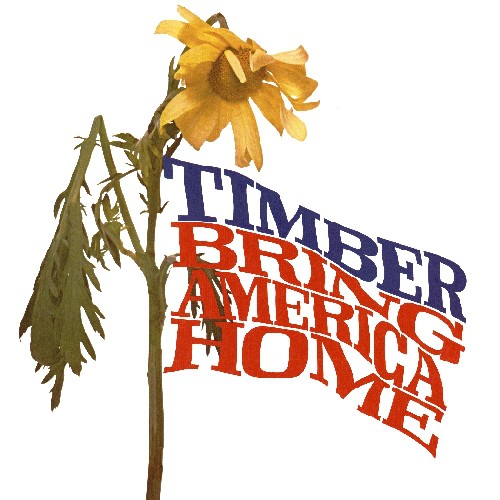 Bring America Home