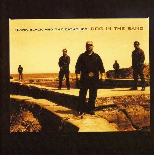 Dog in the Sand
