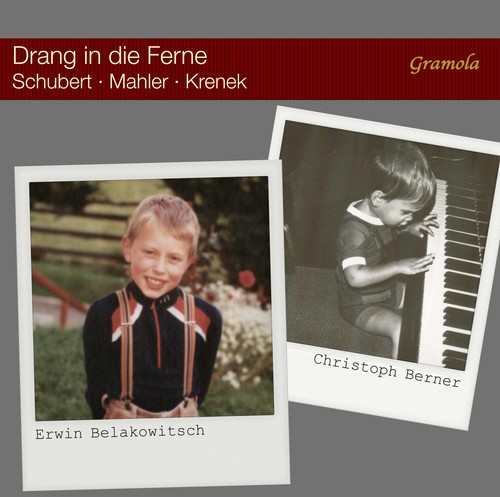 Violin Concerto / Triple Concerto / Romances