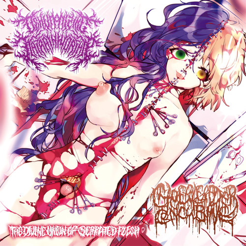 Dehumanizing Itatrain Worship - Divine Union Of Serrated Flesh (CD)
