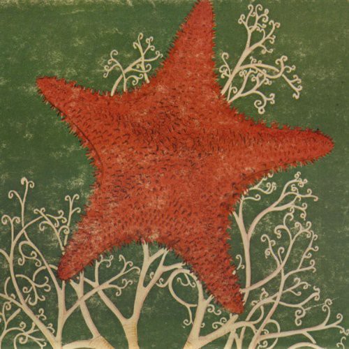 Arm of the Starfish