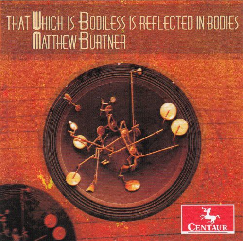 That Which Is Bodiless Is Reflected in Bodies
