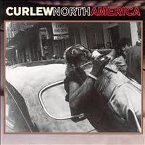 Curlew - North America (CD)