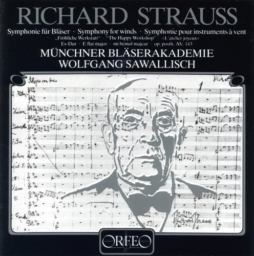 Symphony for Winds: Happy Workshop
