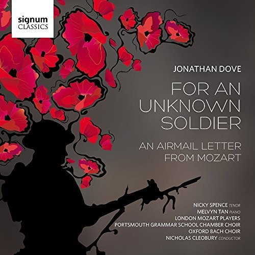 For An Unkown Soldier