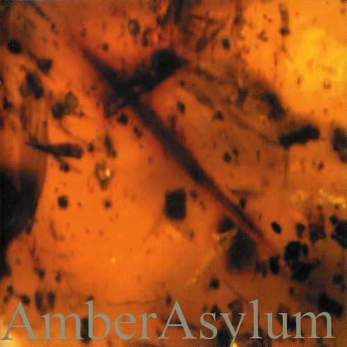 Frozen in Amber