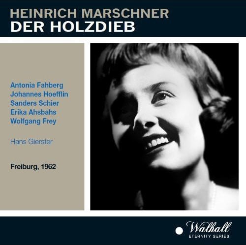 Der Holzdieb
