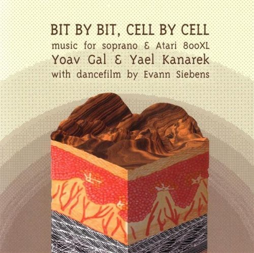 Bit By Bit Cell By Cell
