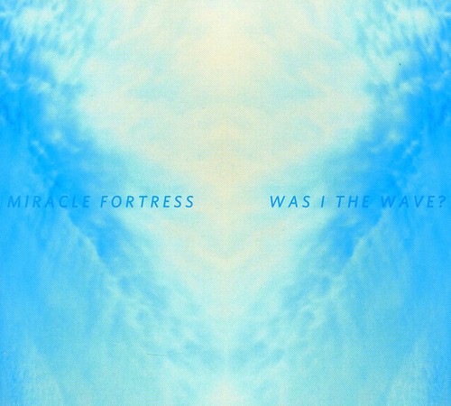 Was I The Wave?