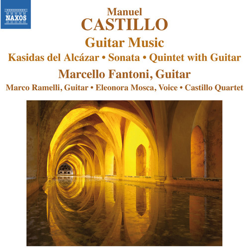 Guitar Music