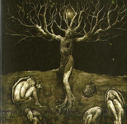 All Traps on Earth - Drop Of Light (CD)