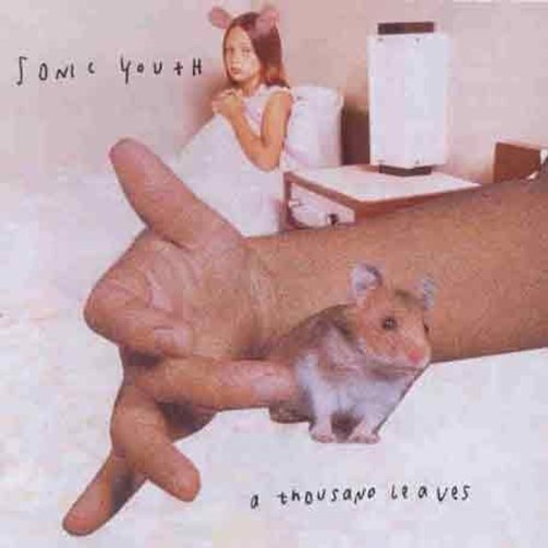 Sonic Youth - Thousand Leaves (CD)