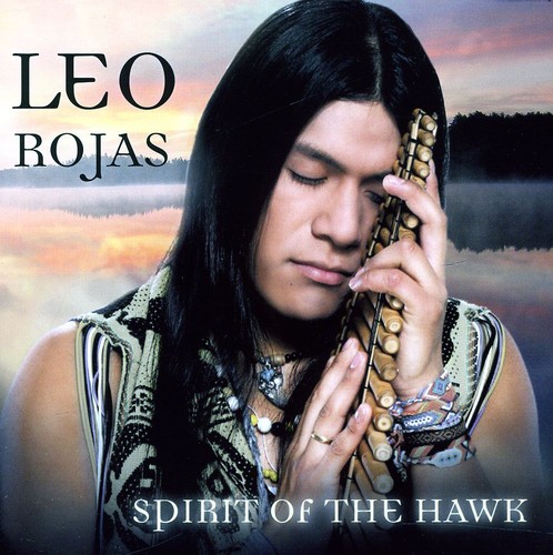 Spirit of the Hawk
