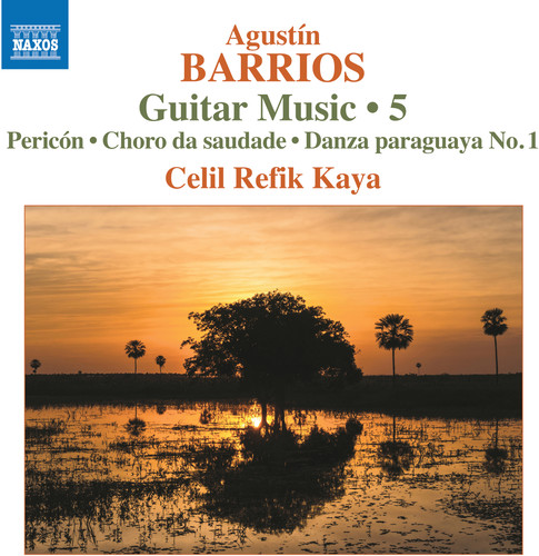 Guitar Music 5