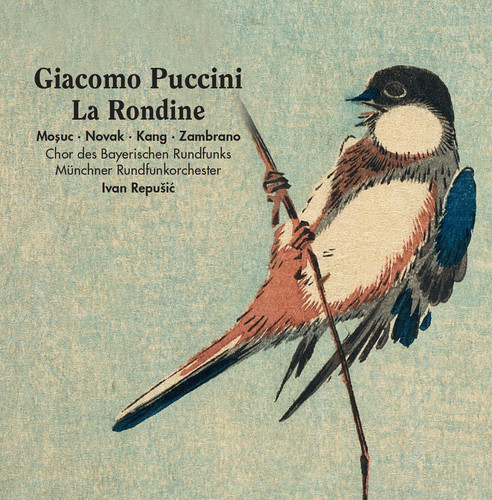 Rondine