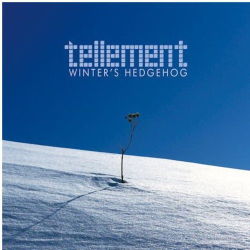 Winter's Hedgehog