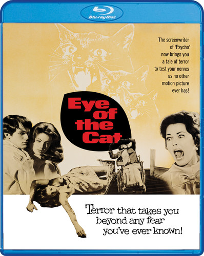 Eye of the Cat