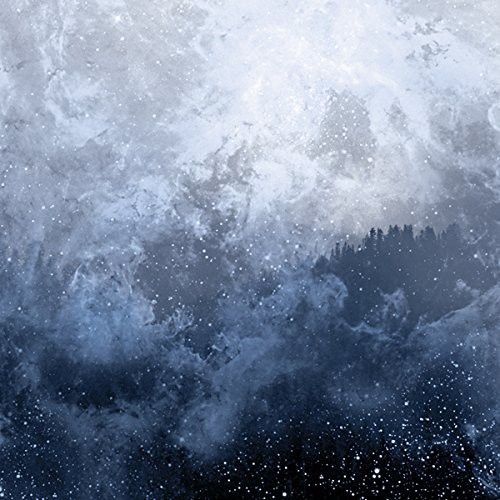 Wolves in the Throne Room - Celestite (CD)