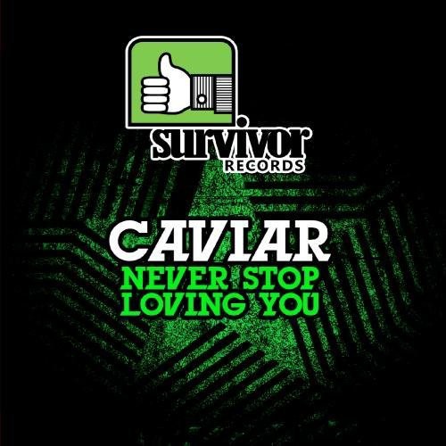 Never Stop Loving You