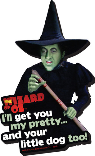 Wizard of Oz- Wicked Witch of the West Funky Chunky Magnet. I'll get