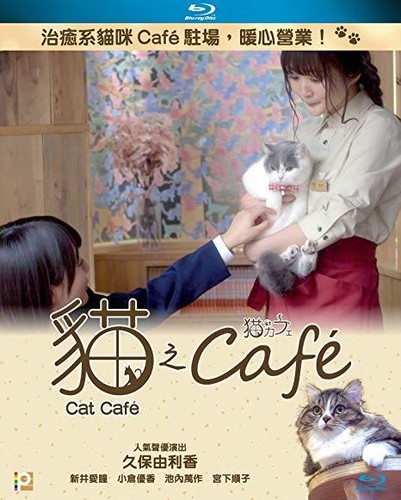 Cat Cafe