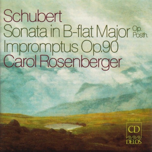 Piano Sonata / Impromptus
