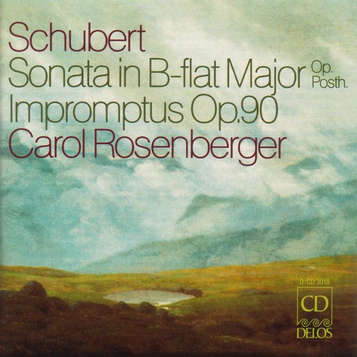 Piano Sonata / Impromptus