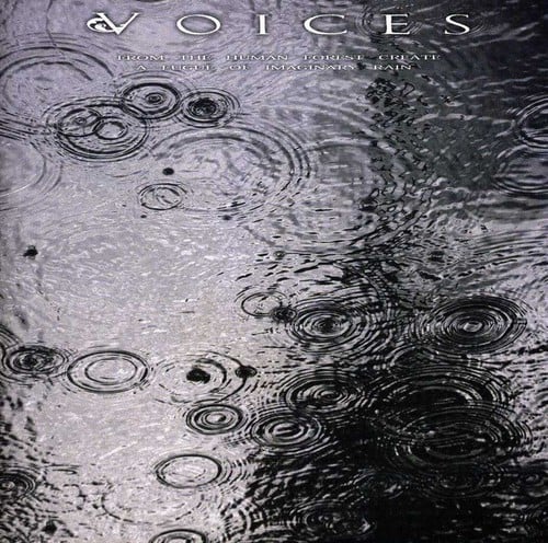 From The Human Forest Create A Fugue Of Imaginary Rain