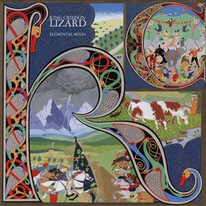 Lizard - 2025 David Singleton Elemental Mixes - 200gm Vinyl