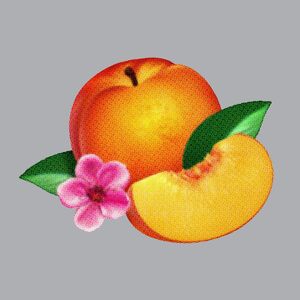 Bankrupt! (Limited)