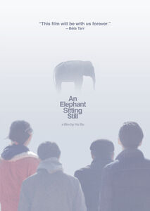 An Elephant Sitting Still