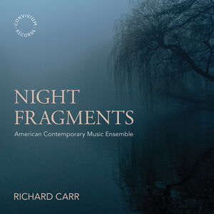 Night Fragments