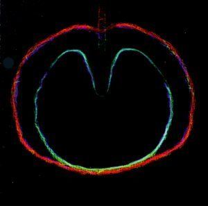 XTC - Wasp Star (Apple Venus Vol. II) (CD)
