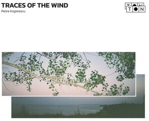 Traces Of The Wind