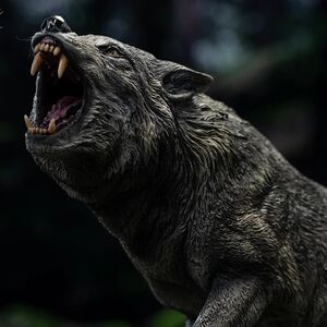 Wonders of the Wild Series - Dire Wolf Statue