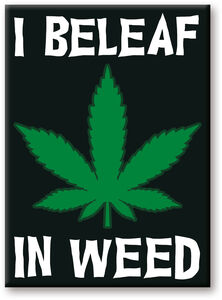 Weed I Beleaf 2.5 x 3.5 Flat Magnet