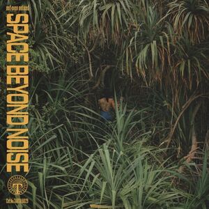 Space Beyond Noise