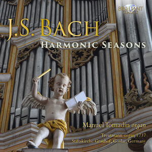 Harmonic Seasons